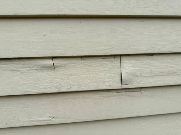 Affordable Siding Repair and Maintenance Services in Morrow, GA